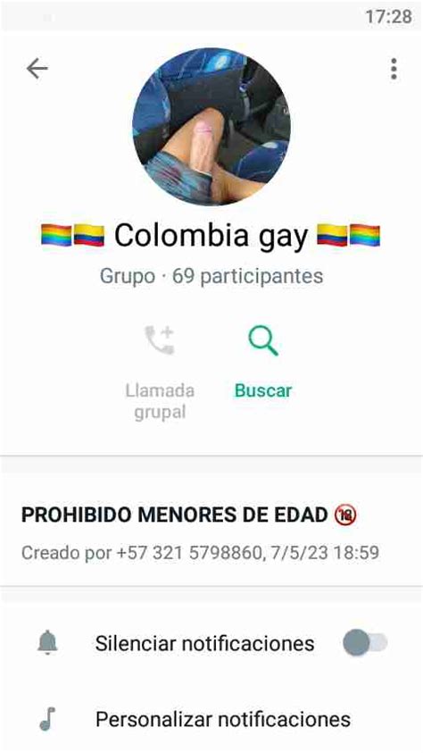 Grupos de GAYS en Whatsapp